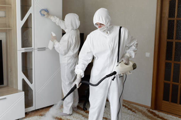 24/7 Emergency Odor Removal experts in Mesquite, NV